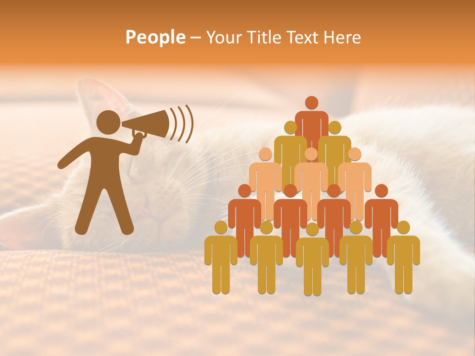 Yellow Divan Fur PowerPoint Template