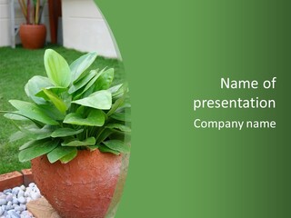 Thai Planter Tourism PowerPoint Template