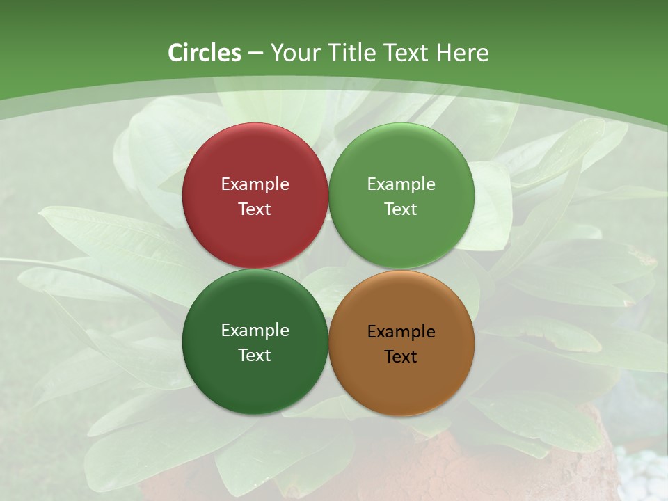 Thai Planter Tourism PowerPoint Template