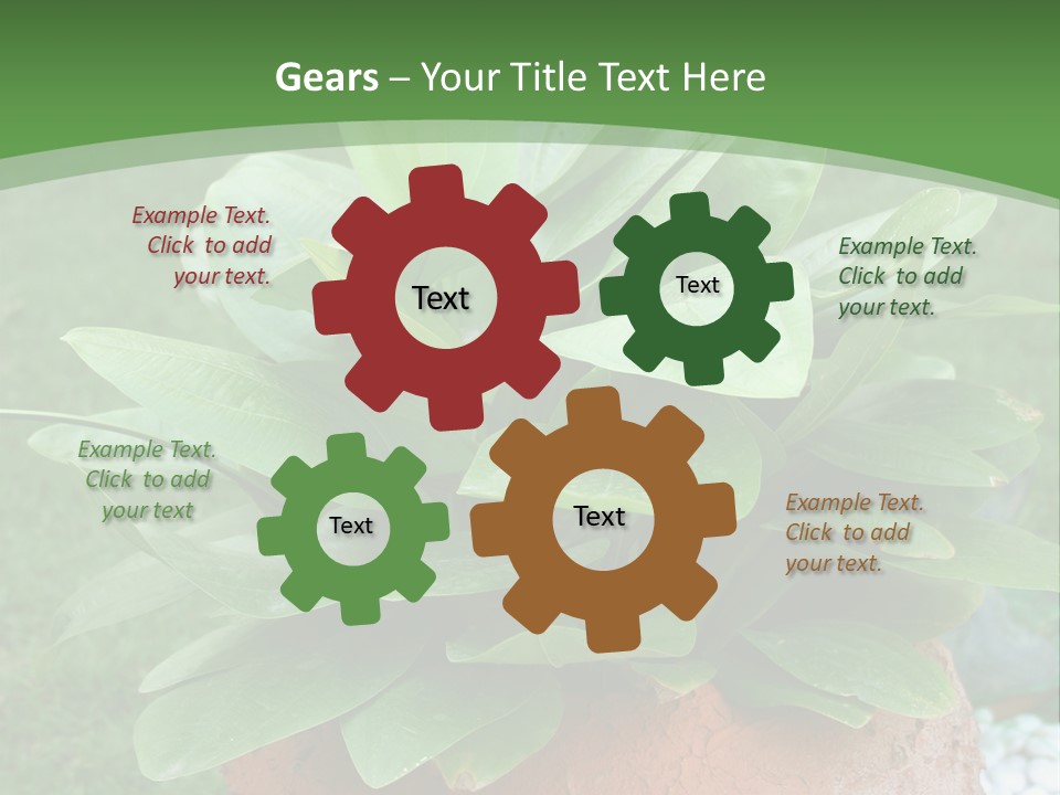 Thai Planter Tourism PowerPoint Template