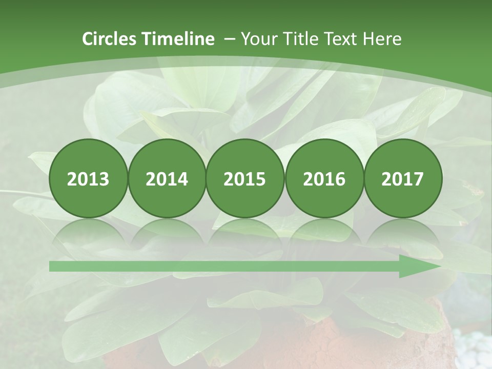 Thai Planter Tourism PowerPoint Template