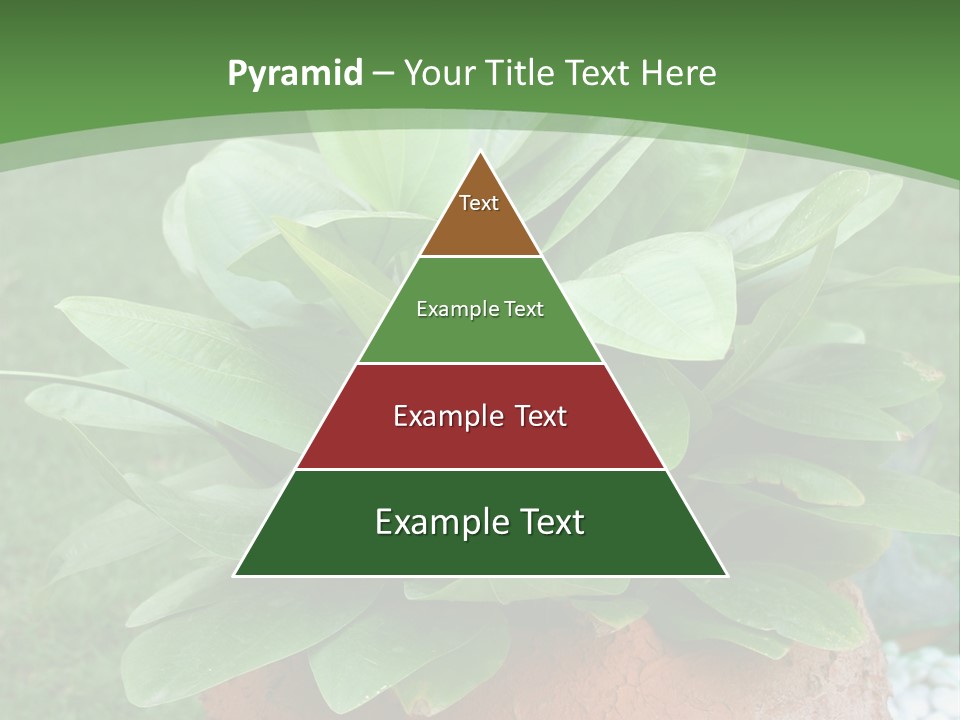 Thai Planter Tourism PowerPoint Template
