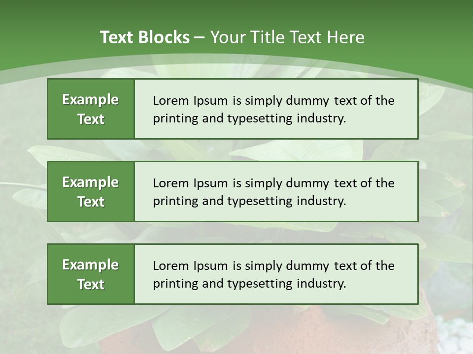 Thai Planter Tourism PowerPoint Template