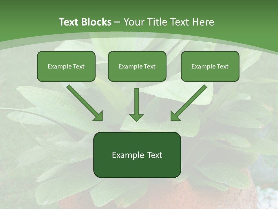 Thai Planter Tourism PowerPoint Template