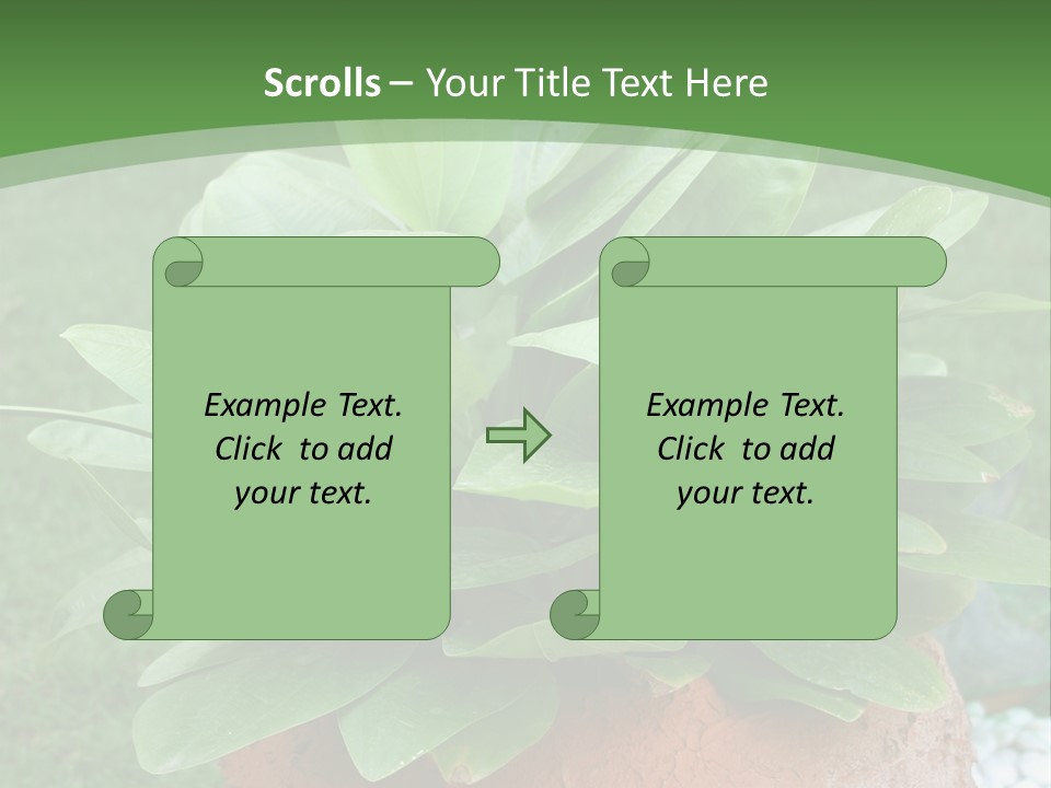 Thai Planter Tourism PowerPoint Template