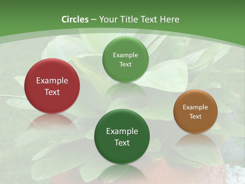 Thai Planter Tourism PowerPoint Template