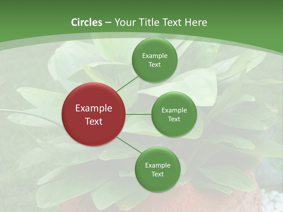 Thai Planter Tourism PowerPoint Template