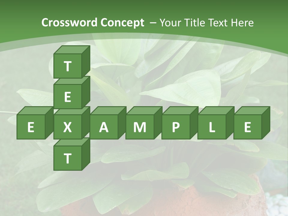 Thai Planter Tourism PowerPoint Template