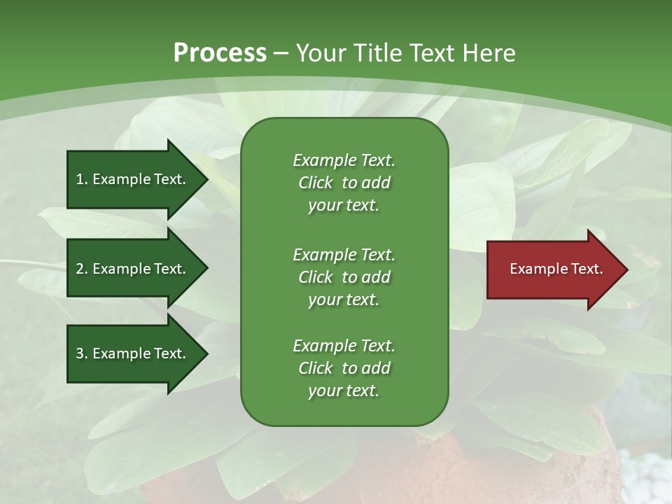 Thai Planter Tourism PowerPoint Template