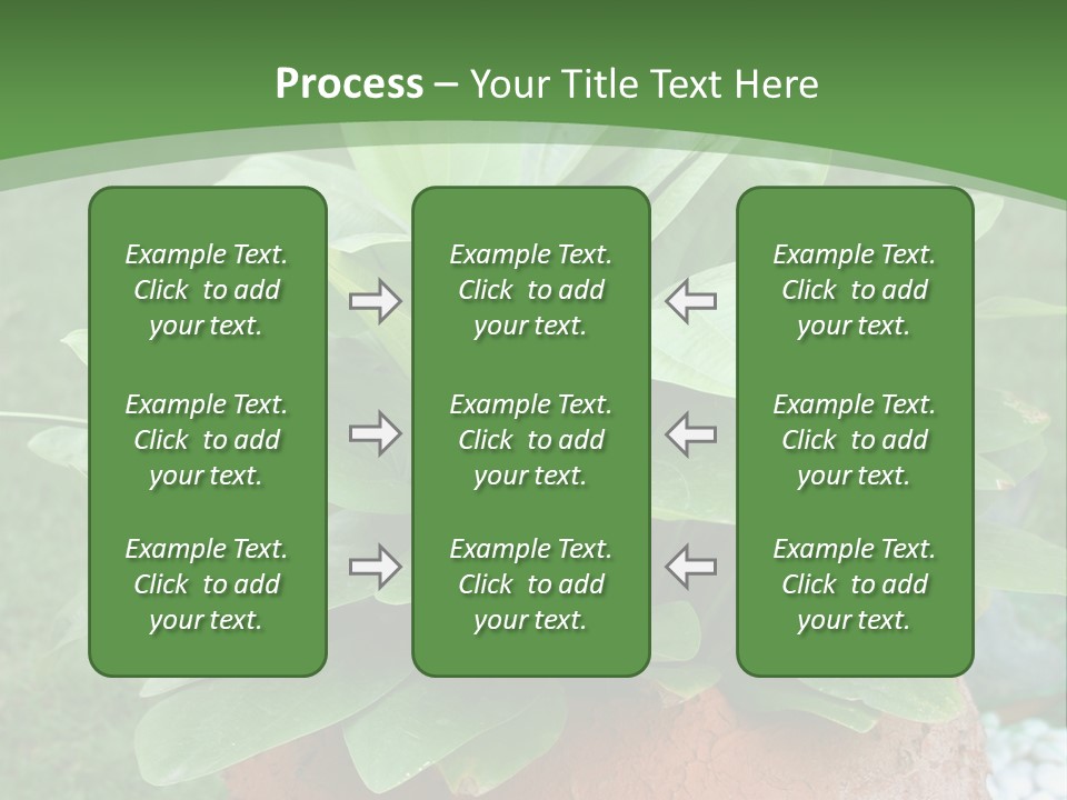 Thai Planter Tourism PowerPoint Template