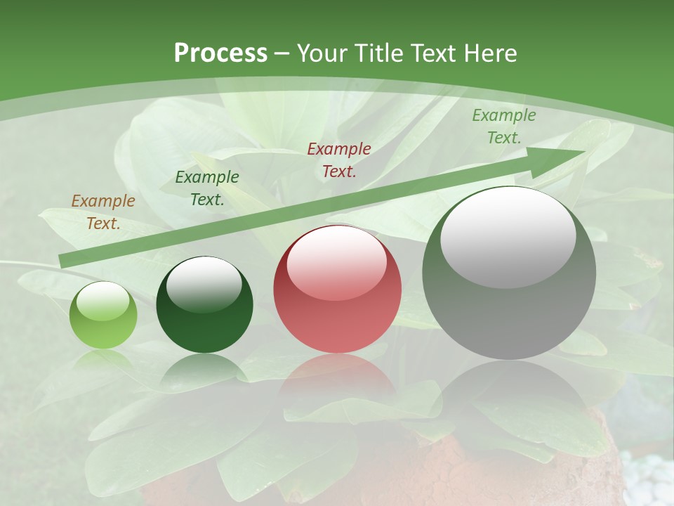 Thai Planter Tourism PowerPoint Template