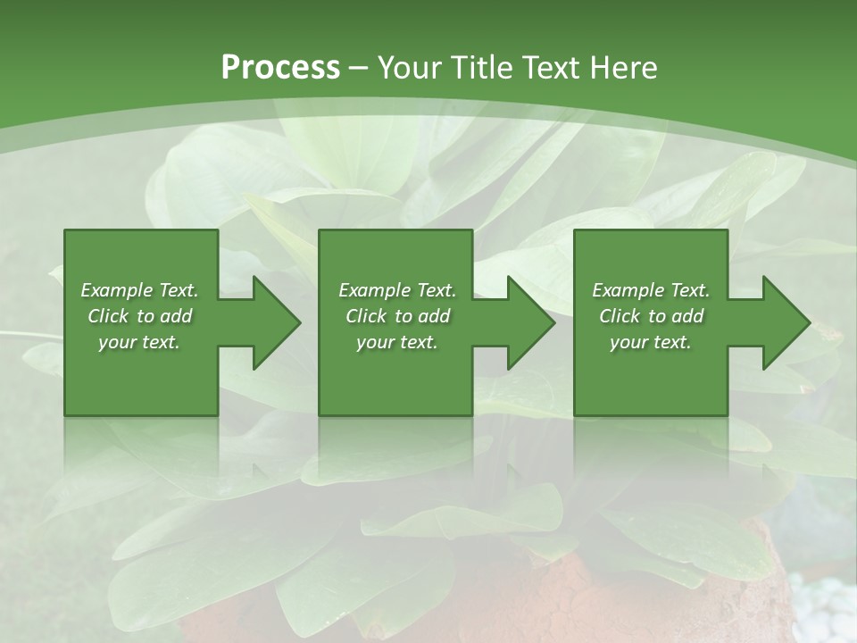 Thai Planter Tourism PowerPoint Template