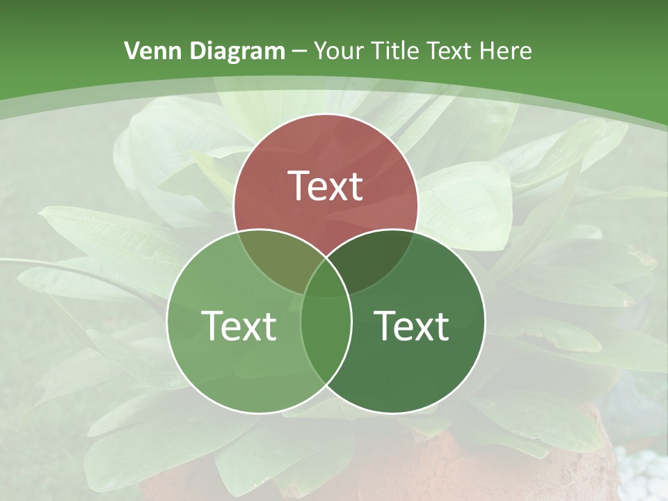 Thai Planter Tourism PowerPoint Template