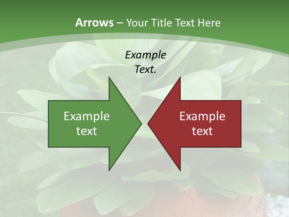 Thai Planter Tourism PowerPoint Template