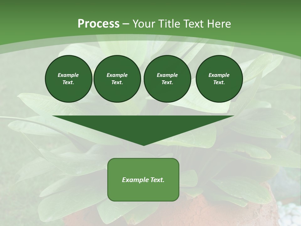 Thai Planter Tourism PowerPoint Template