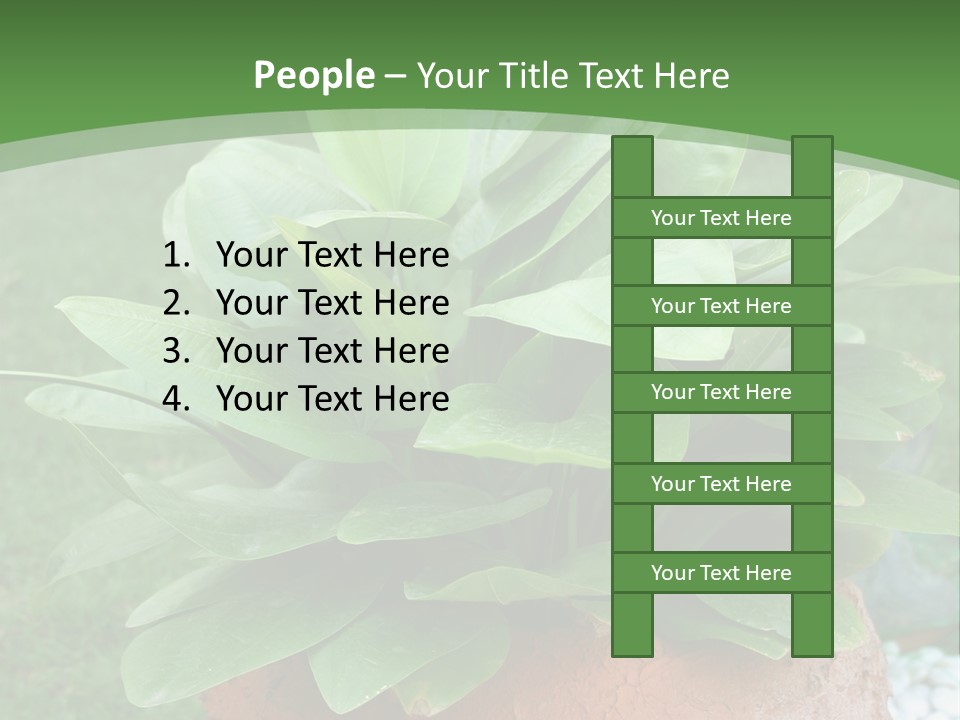 Thai Planter Tourism PowerPoint Template