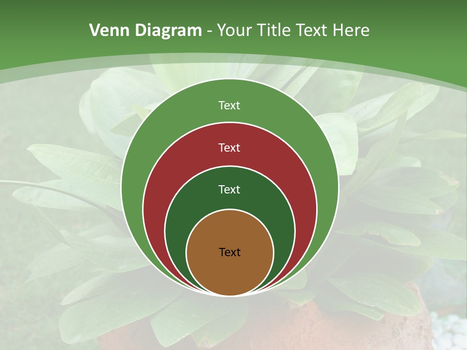 Thai Planter Tourism PowerPoint Template
