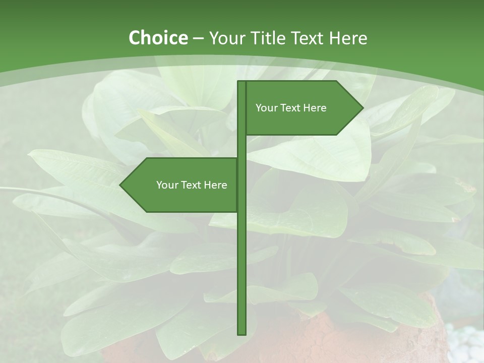 Thai Planter Tourism PowerPoint Template