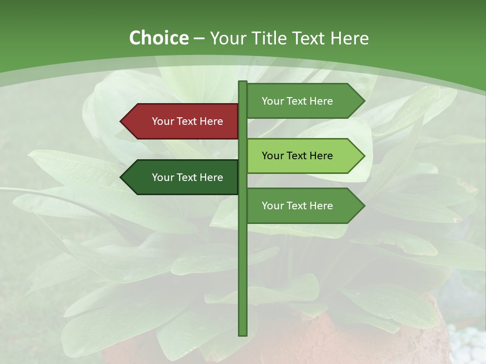 Thai Planter Tourism PowerPoint Template
