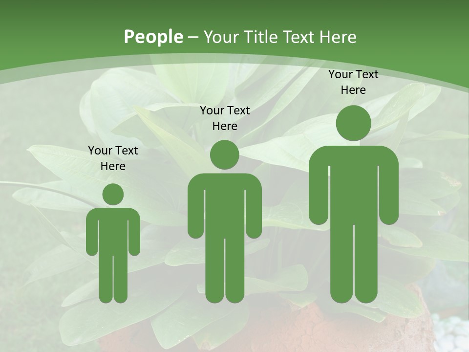 Thai Planter Tourism PowerPoint Template