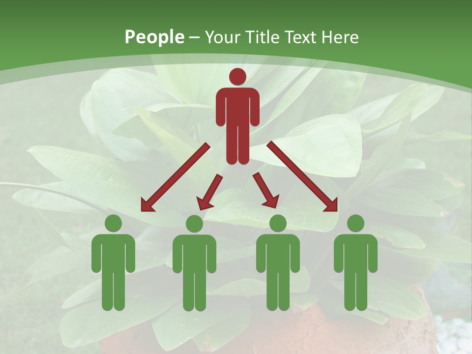 Thai Planter Tourism PowerPoint Template