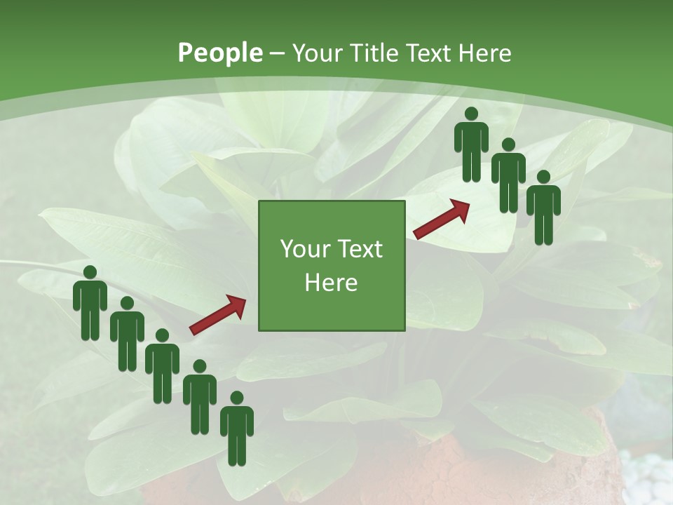 Thai Planter Tourism PowerPoint Template