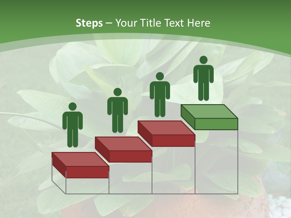 Thai Planter Tourism PowerPoint Template