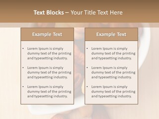 Kernel Walnut Food PowerPoint Template