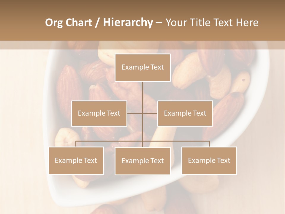 Kernel Walnut Food PowerPoint Template