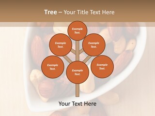 Kernel Walnut Food PowerPoint Template