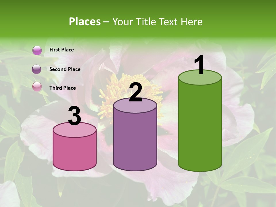 Colorful Blooming Pink PowerPoint Template