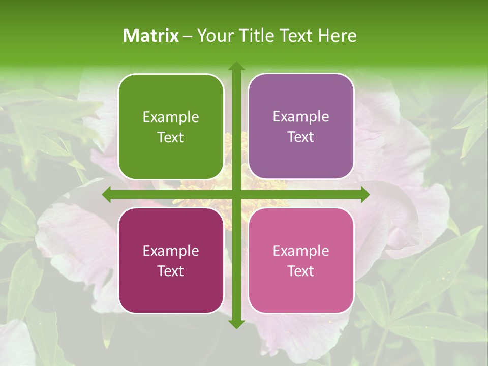 Colorful Blooming Pink PowerPoint Template