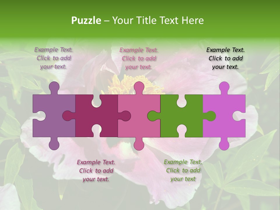 Colorful Blooming Pink PowerPoint Template