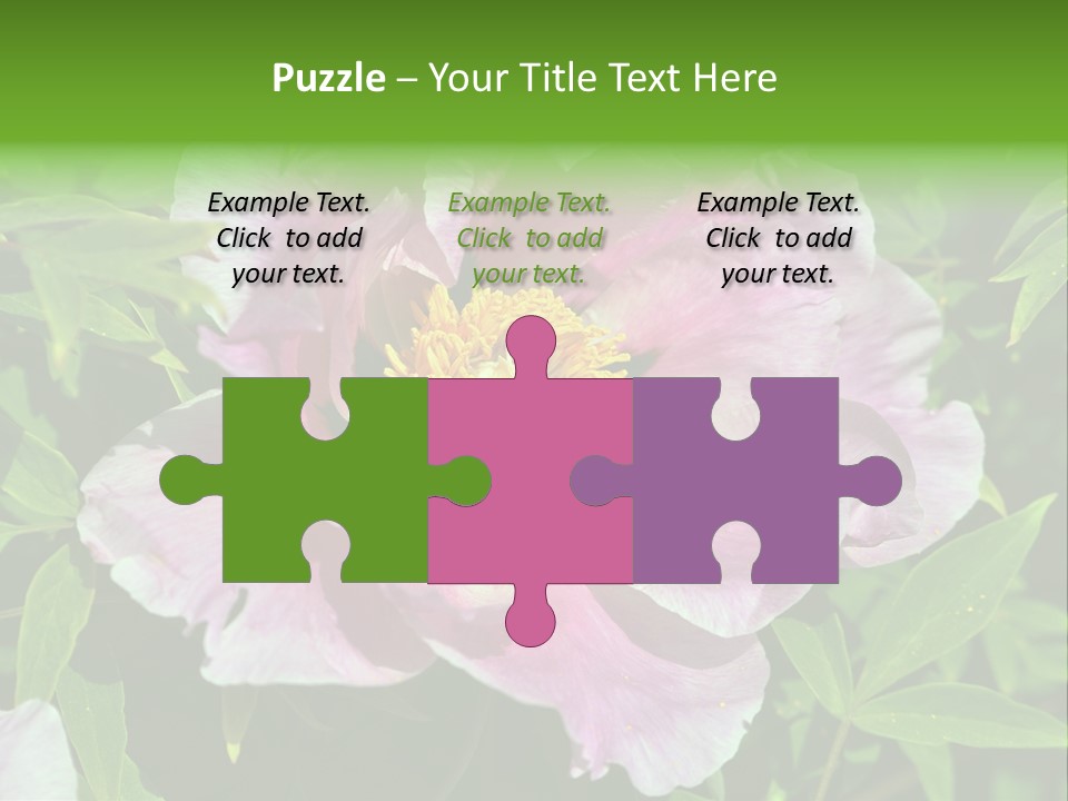 Colorful Blooming Pink PowerPoint Template