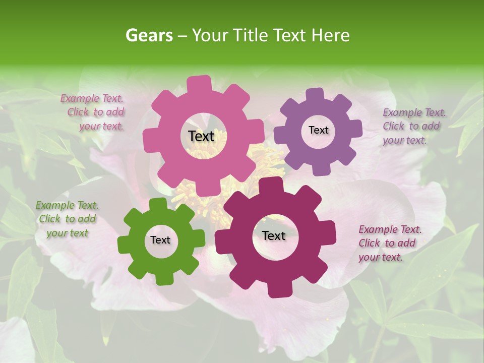 Colorful Blooming Pink PowerPoint Template