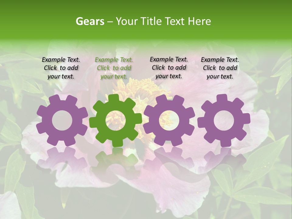 Colorful Blooming Pink PowerPoint Template