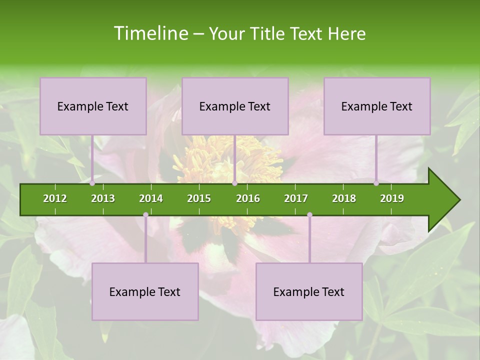 Colorful Blooming Pink PowerPoint Template