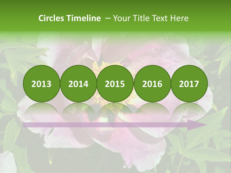 Colorful Blooming Pink PowerPoint Template