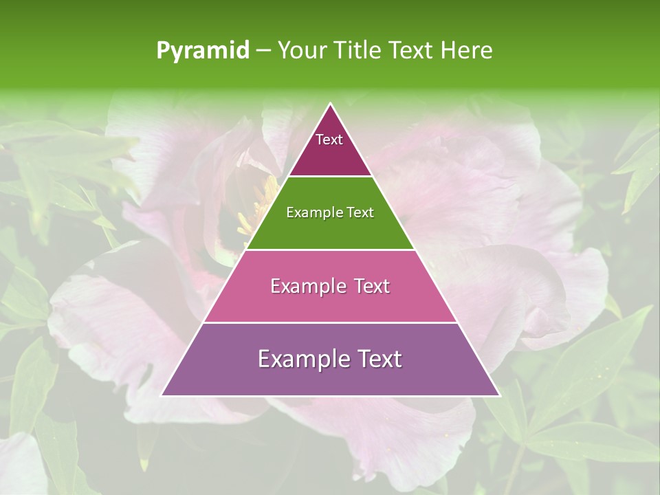 Colorful Blooming Pink PowerPoint Template