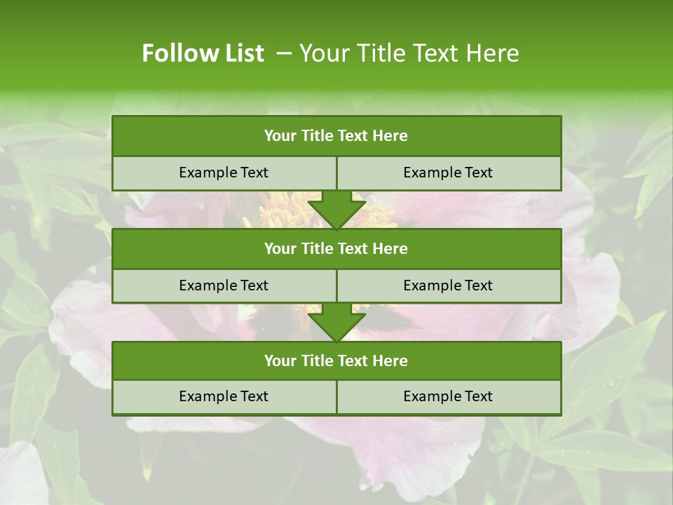 Colorful Blooming Pink PowerPoint Template