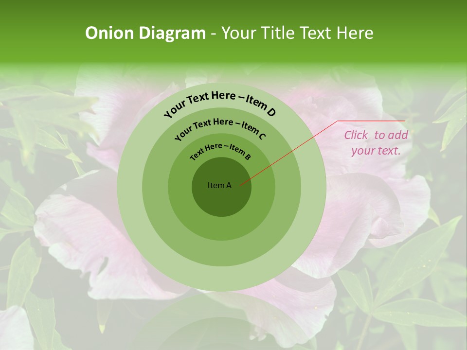 Colorful Blooming Pink PowerPoint Template