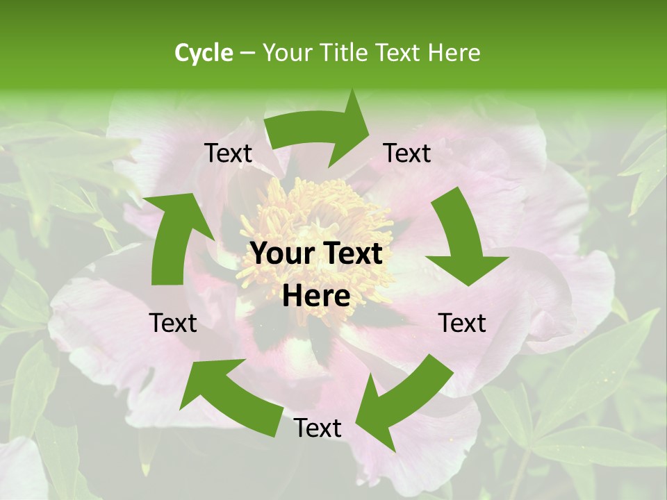 Colorful Blooming Pink PowerPoint Template