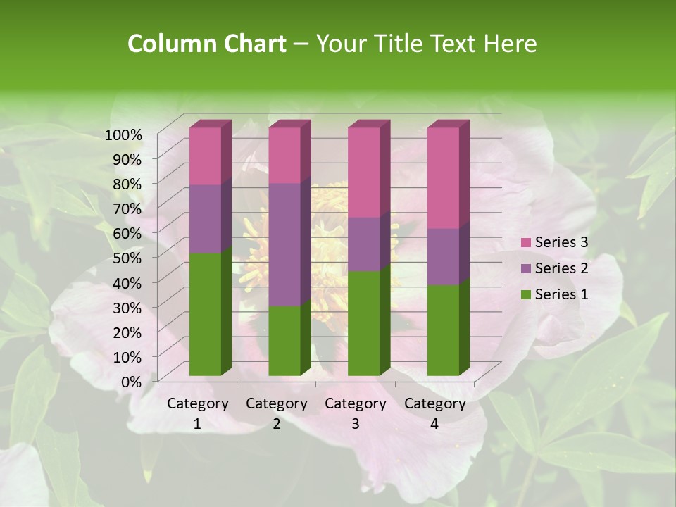 Colorful Blooming Pink PowerPoint Template
