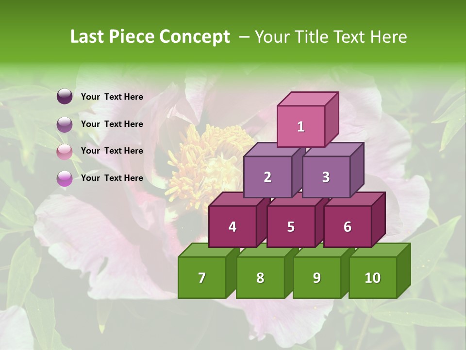 Colorful Blooming Pink PowerPoint Template