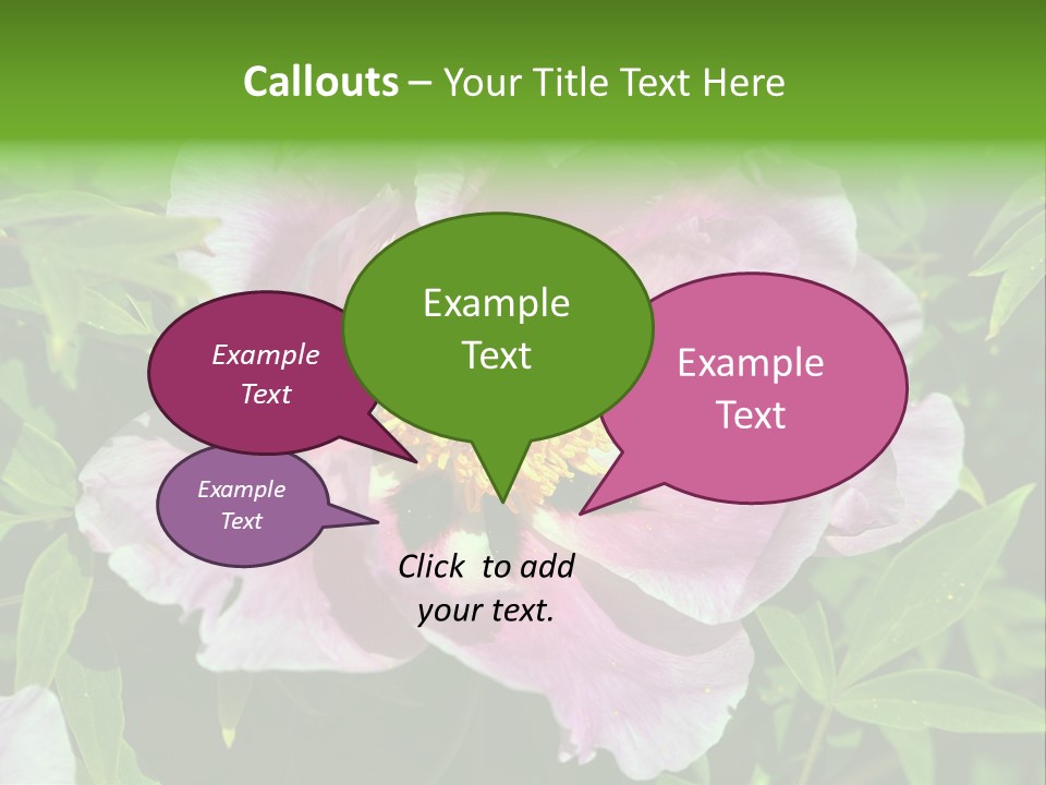 Colorful Blooming Pink PowerPoint Template