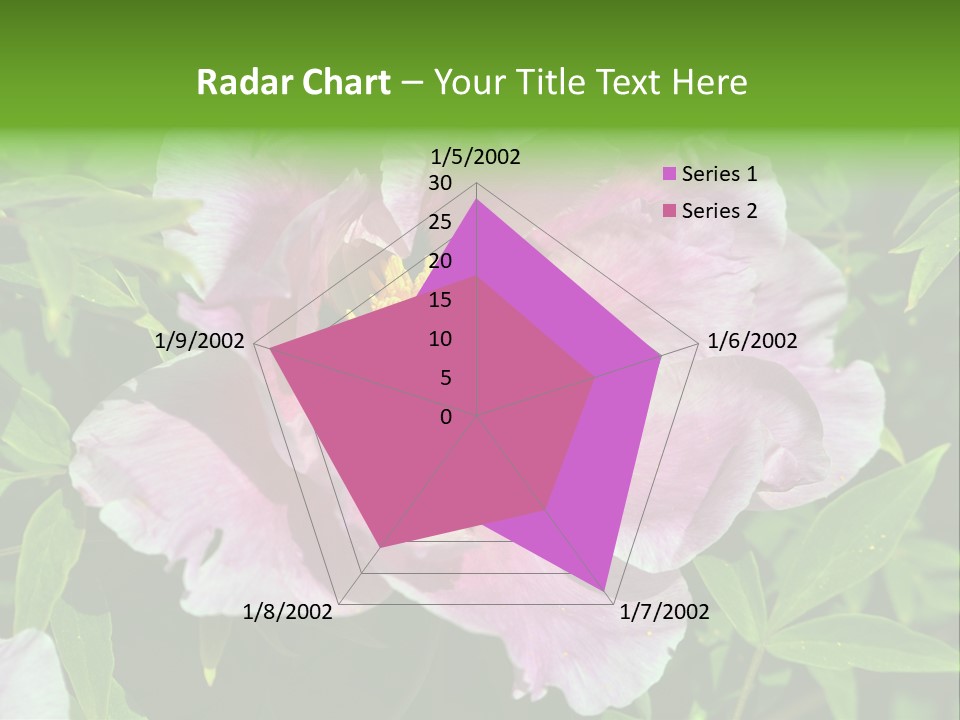 Colorful Blooming Pink PowerPoint Template