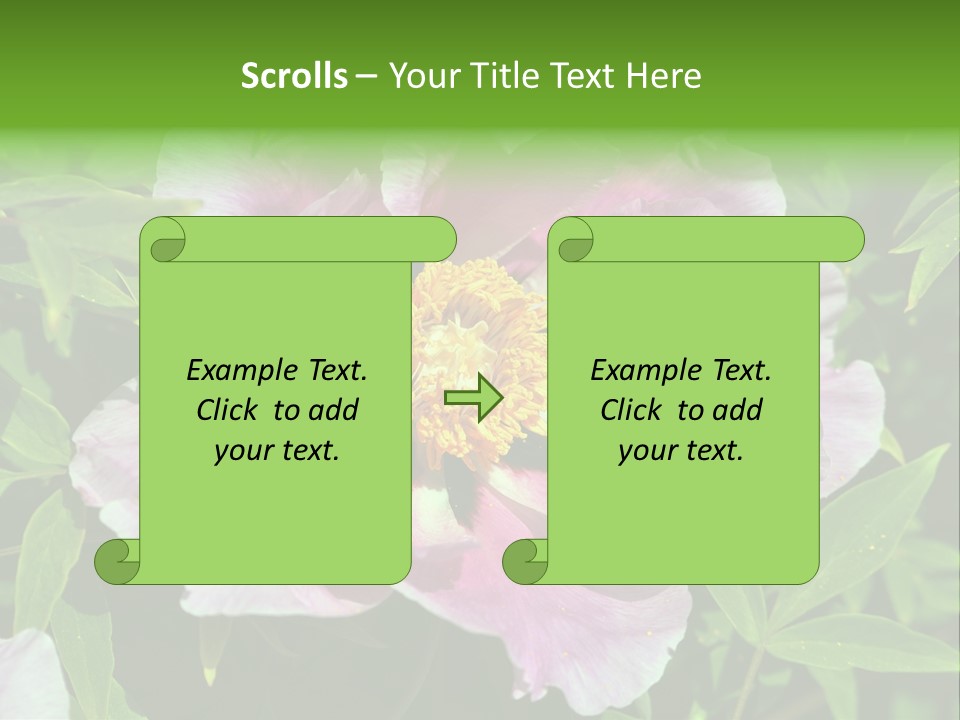 Colorful Blooming Pink PowerPoint Template