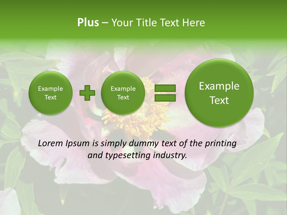 Colorful Blooming Pink PowerPoint Template