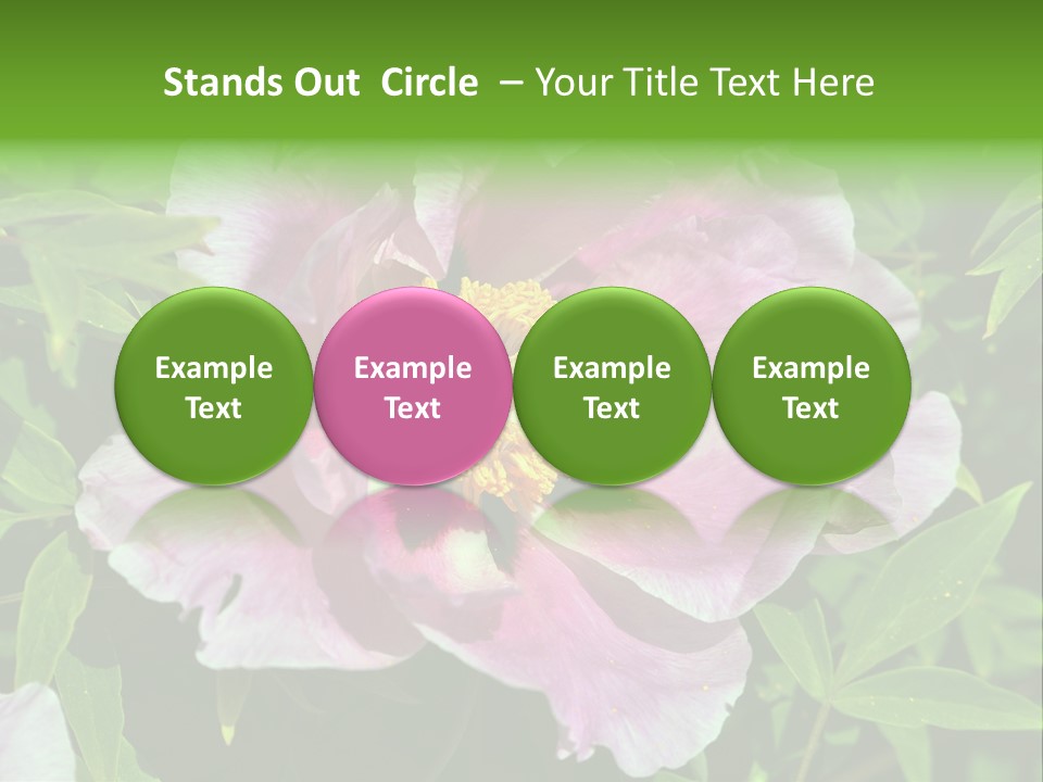 Colorful Blooming Pink PowerPoint Template