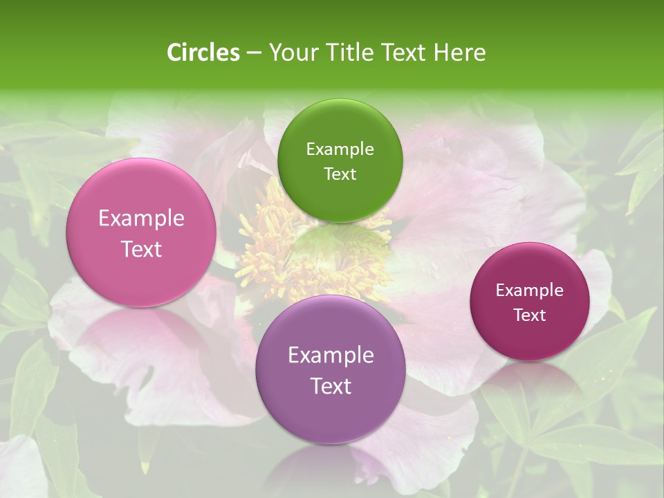 Colorful Blooming Pink PowerPoint Template